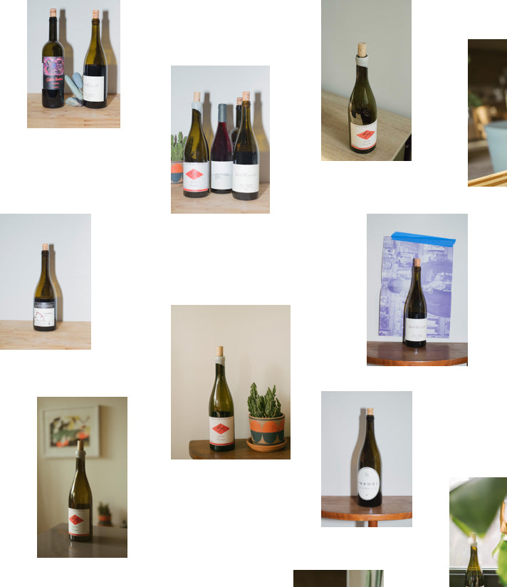 One of the top natural wine shops in America