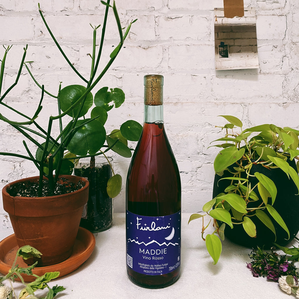 Schiava 'Maddie Rosso' 2021