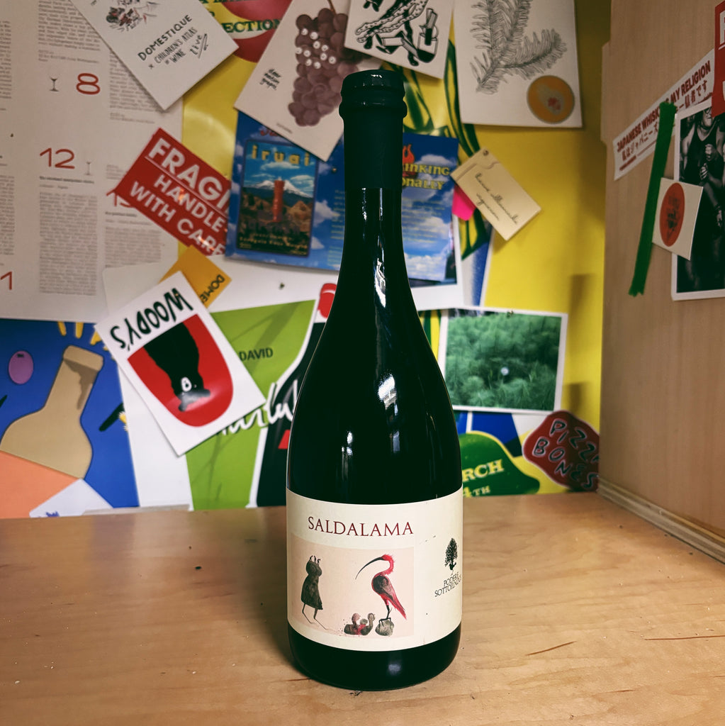 Vino Rosso Frizzante 'Saldalama' 2023