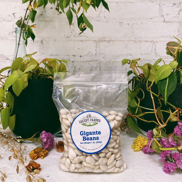 Gigante Beans (1 lb bag)