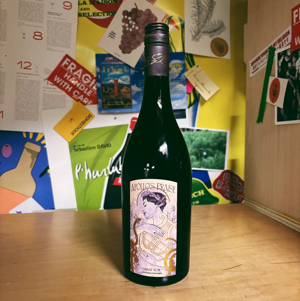 Finger Lakes Gamay 'Lahoma' Vineyard 2024