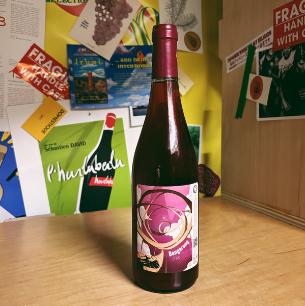 Pineau d'Aunis Blend Bangarang 2024'