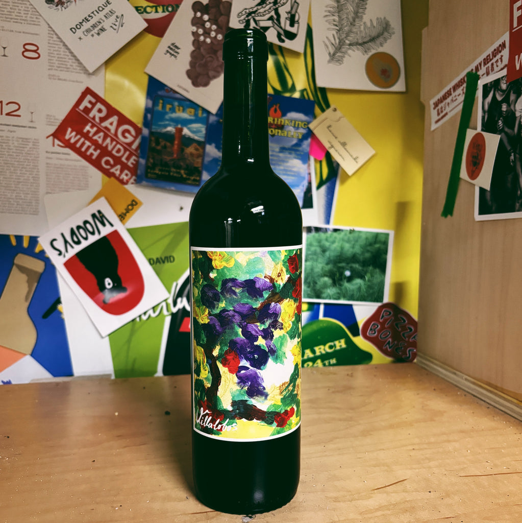 Carignan 'Silvestre' 2019