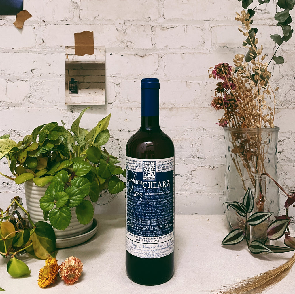 Umbria Bianco 'Santa Chiara' 2019