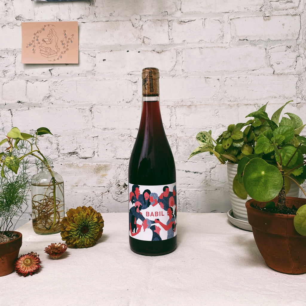 Pineau d'Aunis 'Babil' 2022