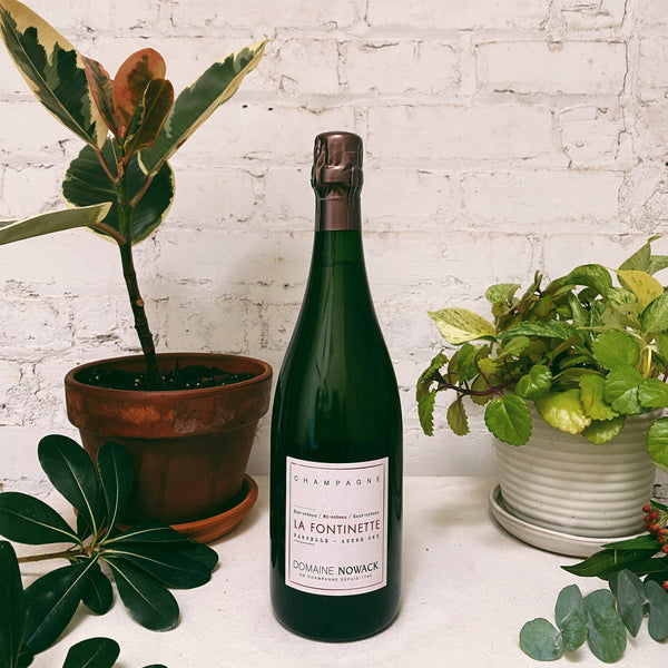 Champagne Blanc de Meunier Extra Brut 'La Fontinette' 2019