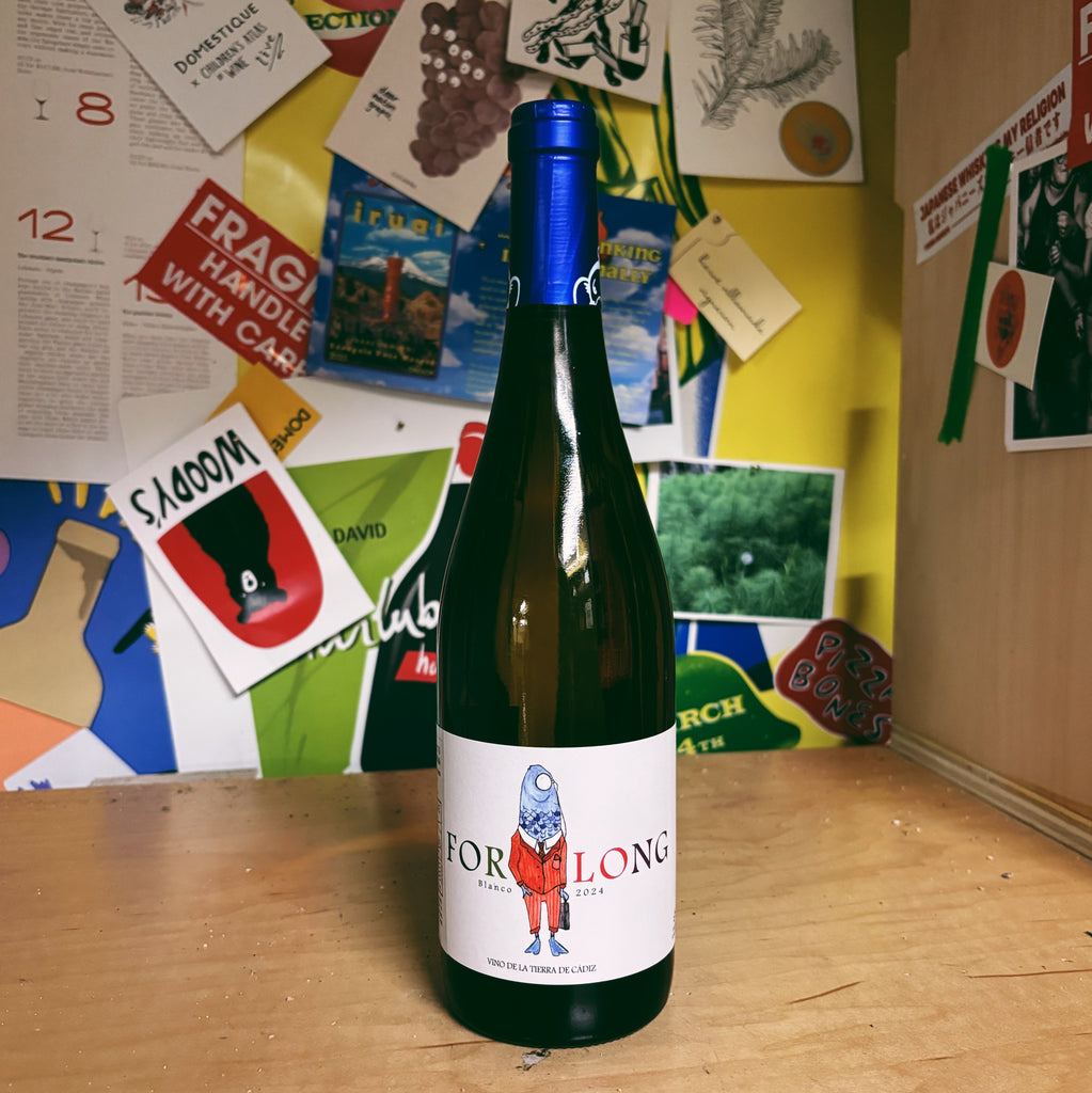 Palomino 'Forlong Blanco' 2024