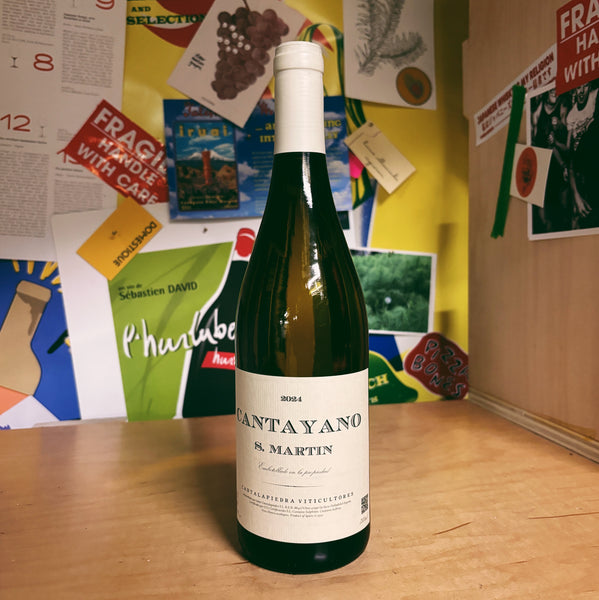 Verdejo 'Cantayano' 2024