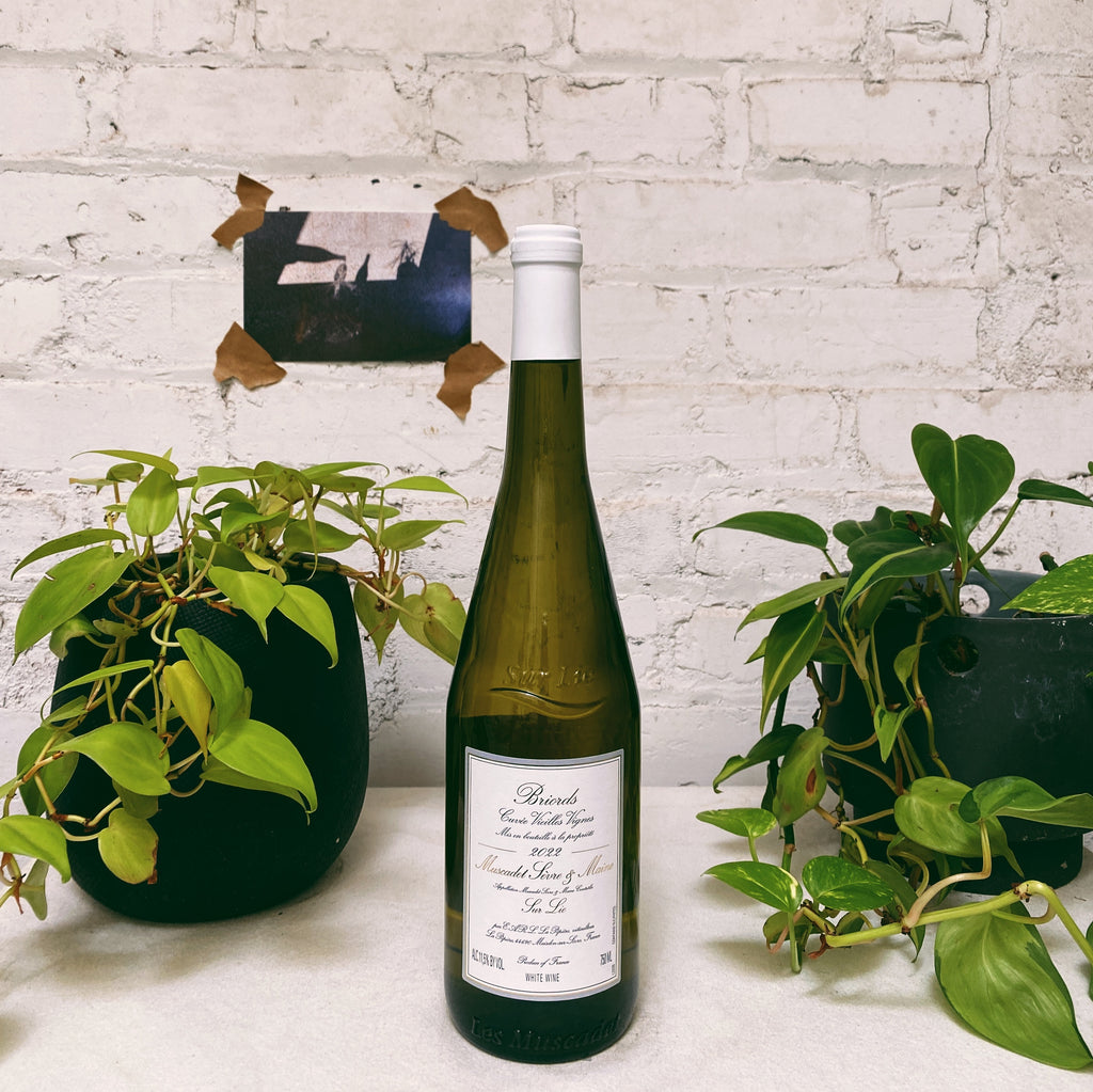 Muscadet 'Clos des Briords' 2022