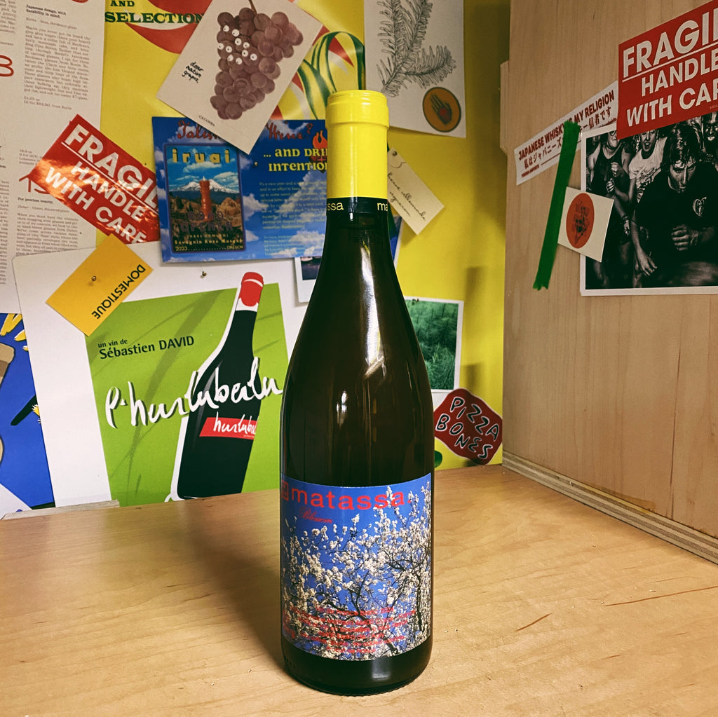 Skin Contact Muscat Petits Grains 'Blossom' 2024