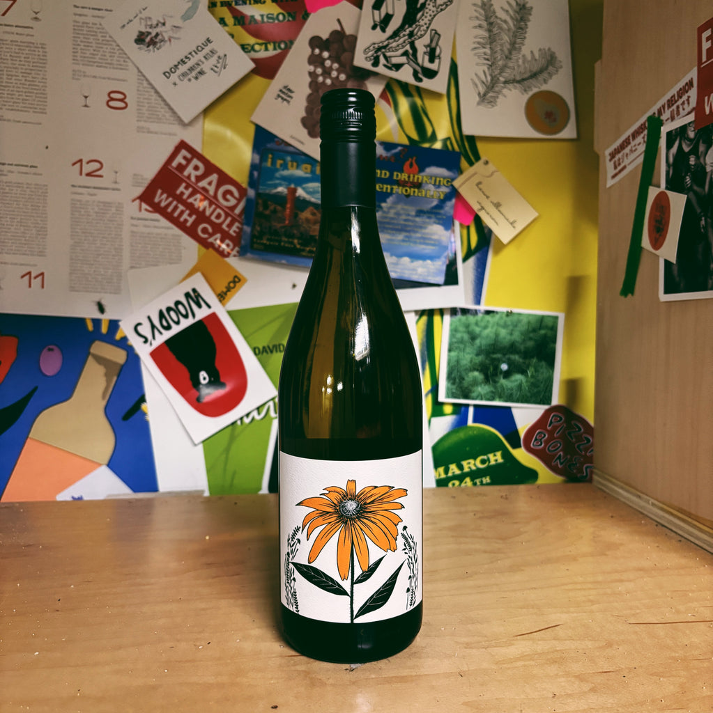 Chardonel 2023