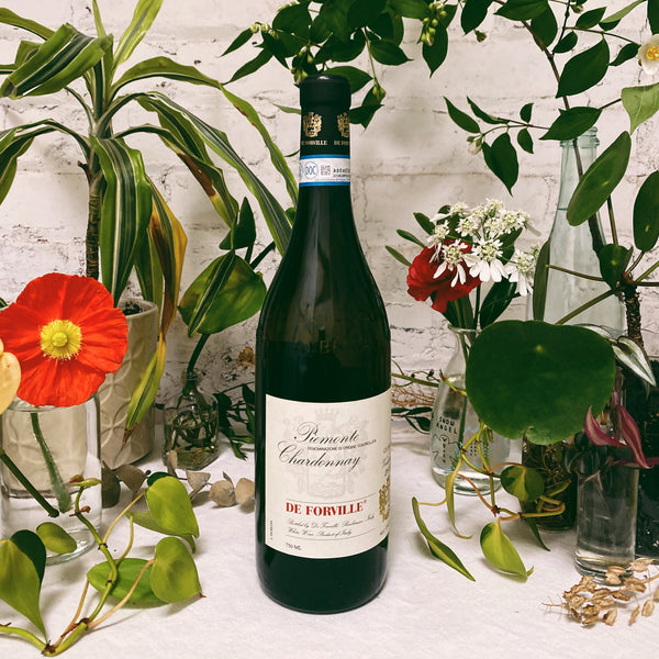 Piemonte Chardonnay 'Ca del Buc' 2023