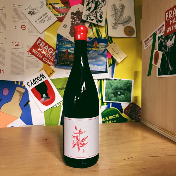 El Dorado Gamay Noir 2024