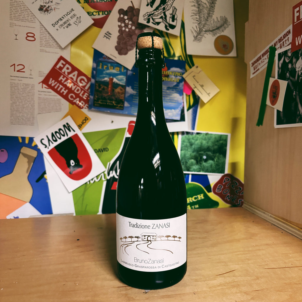 Lambrusco Grasparossa di Castelvestro 2024