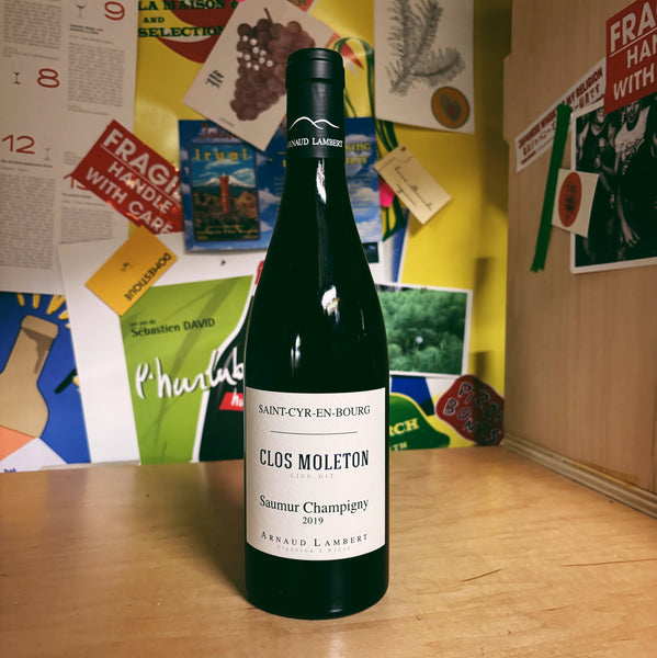 Saumur Rouge Champigny 'Clos Moleton' 2019