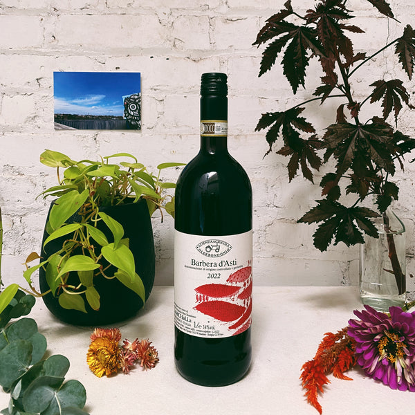 Barbera d'Asti 2022 1L