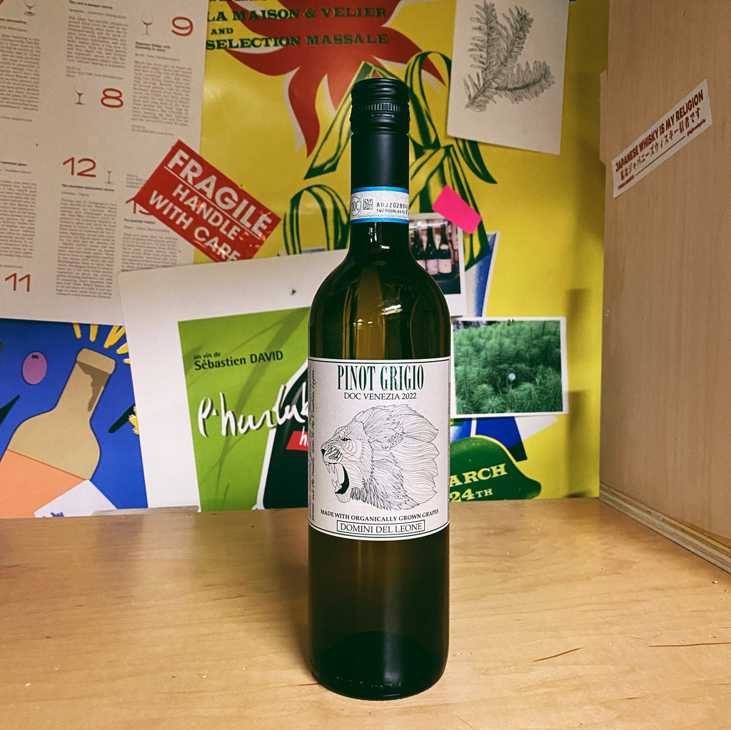 DOC Venezia Pinot Grigio 2022