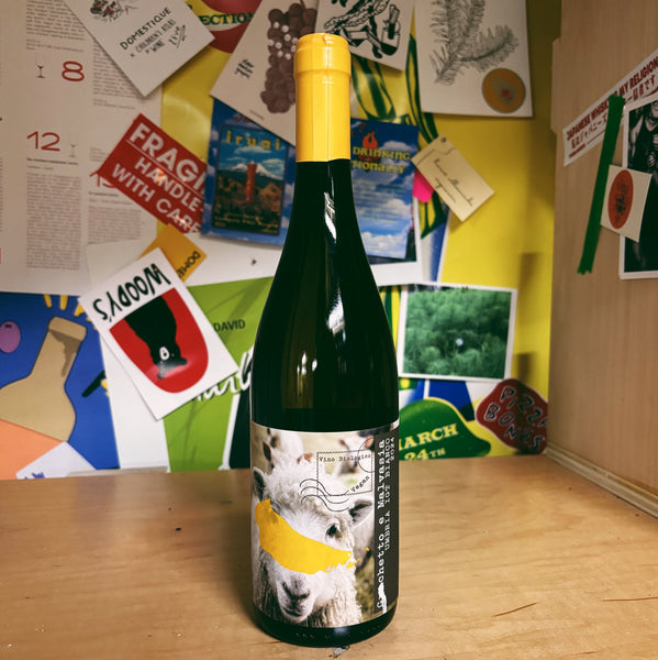 Umbria Bianco 'Nessuno' 2024