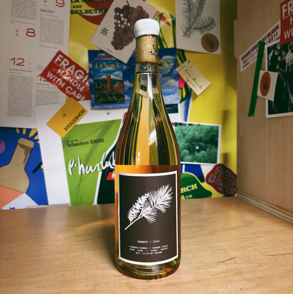 Skin Contact Pinot Grigio 'Ramato' 2024