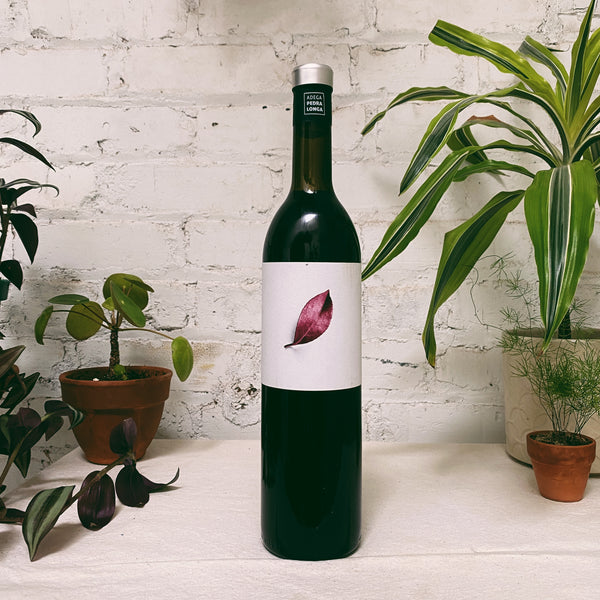 Vino Roja 'Tinto DoUmia' 2020