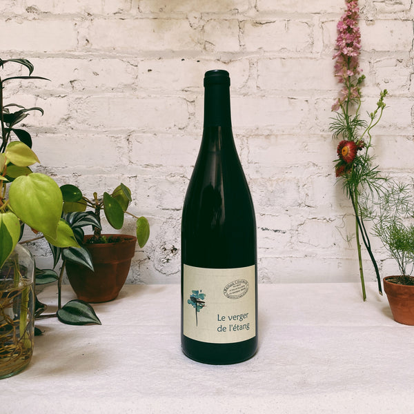 Pineau d'Aunis 'Verger de l'Etang' 2022