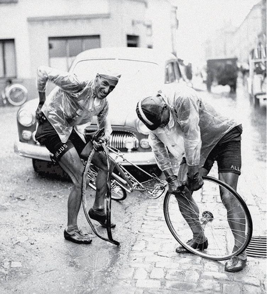 Domestique Wine Club