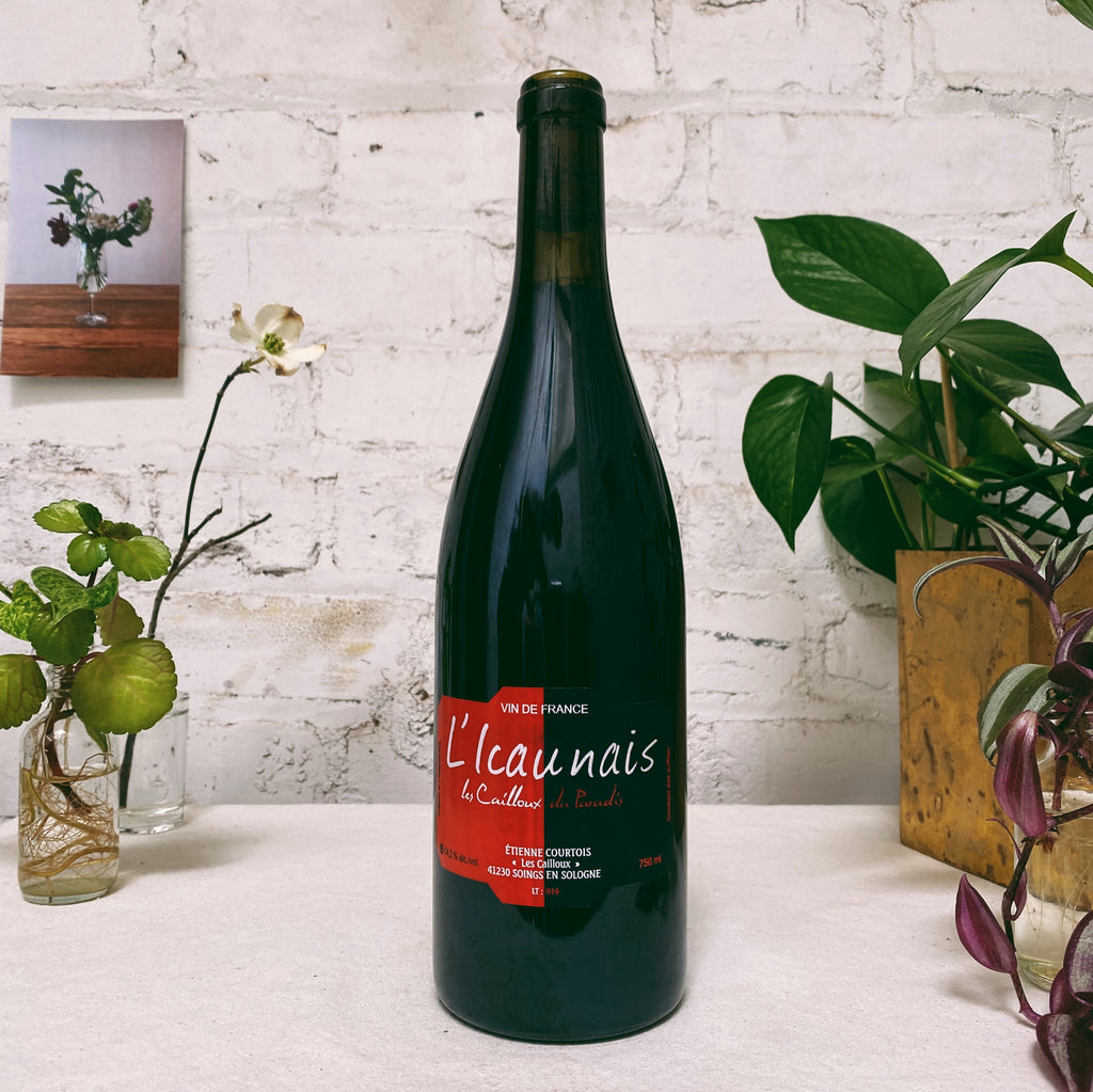 Gascon 'L'lcaunais' 2019