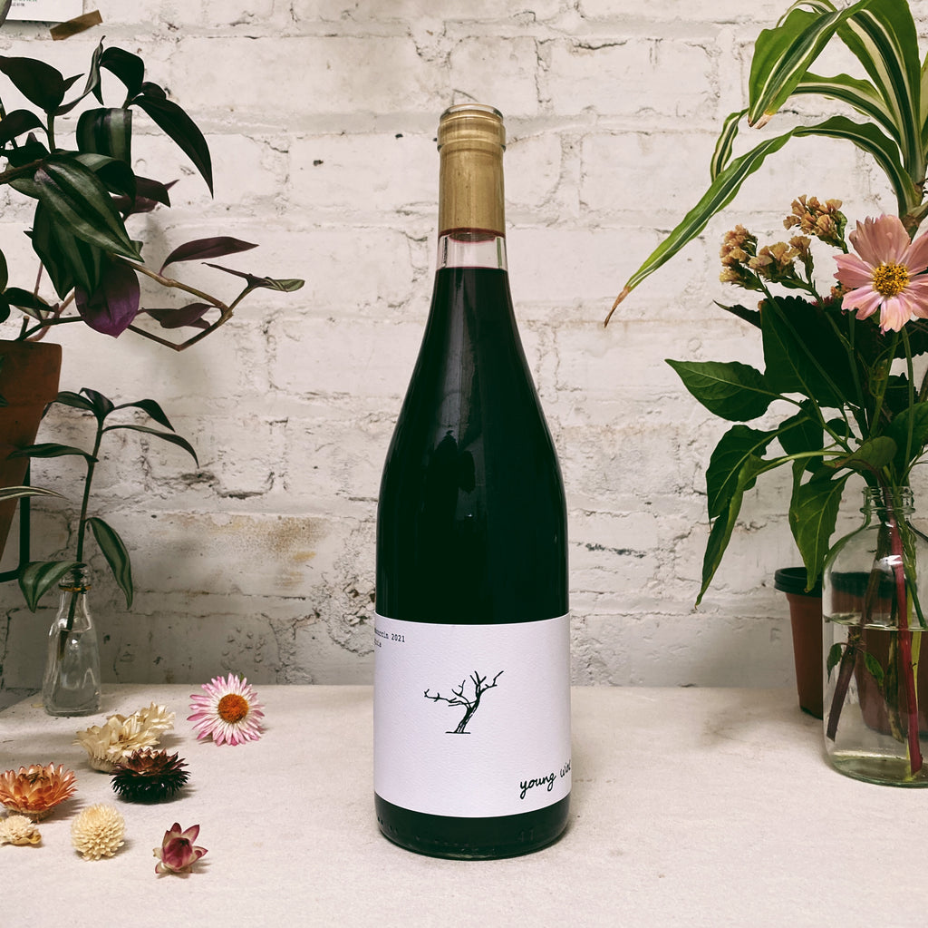 'Young Wine' Red  2021